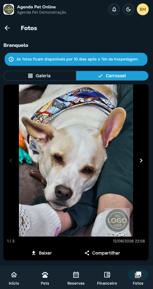 Exemplo de foto de pet com marca d'água do pet shop